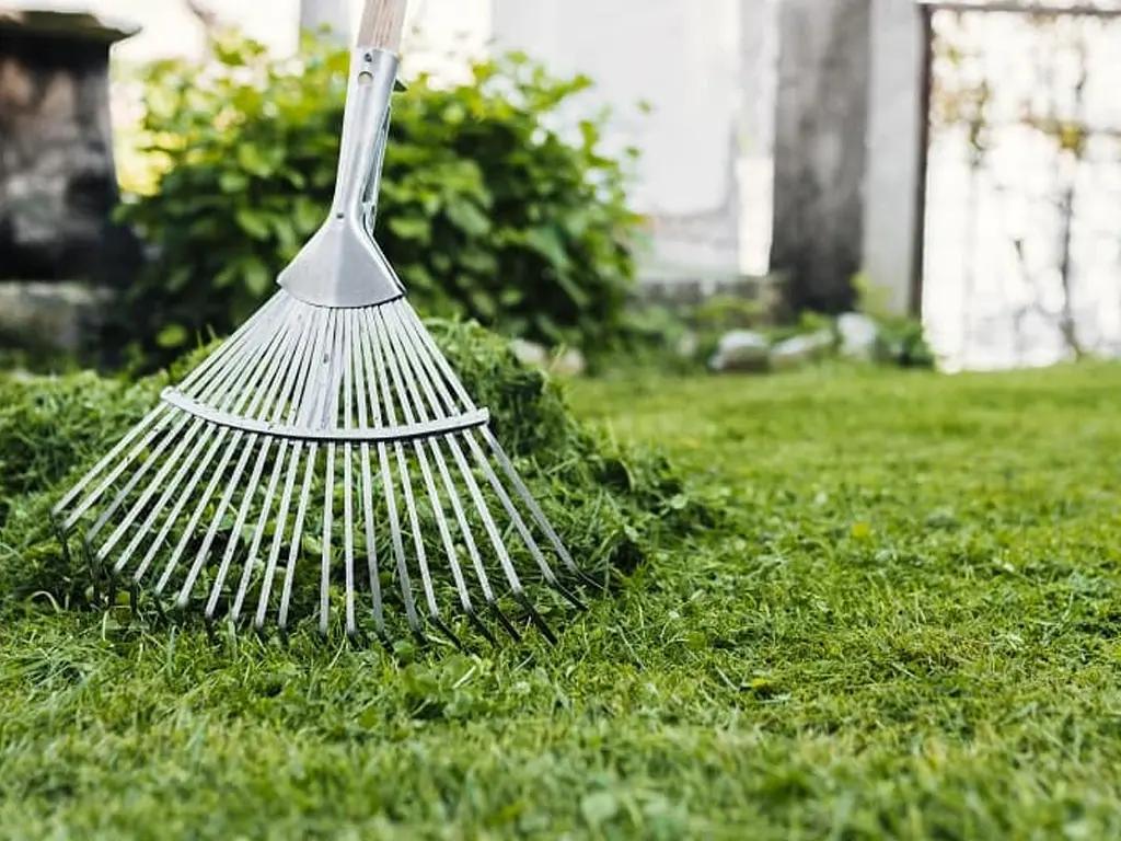 Imagem de um jardim organizado com flores e plantas saudáveis